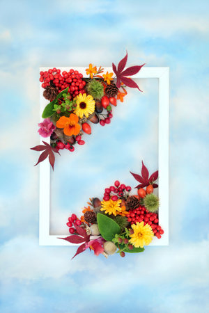 Colorful Autumn Thanksgiving Fall background border with leaves, flowers, berry fruit, nuts, white frame on blue sky. Festive floral nature design for label, greeting card, invitation.の写真素材
