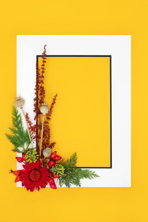 Autumn Fall and Thanksgiving harvest festival background nature border with leaves, flowers, nuts, berry fruit, seed heads on yellow for card, label, menu, invitation, gift tag.の写真素材