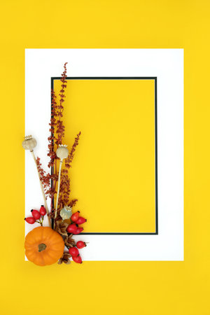 Halloween Autumn Fall background border frame design on yellow. Seasonal composition for greeting card, label, menu, invitation, gift tag.の写真素材