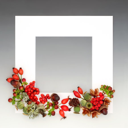 Autumn nature background frame. Berry fruit, nuts, fauna on gradient gray background. Nature flora harvest festival Thanksgiving and Fall design for card, menu, invitation label.の写真素材