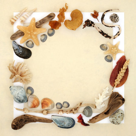 Nature abstract background frame with natural objects of driftwood, seashells, rocks, grain, flora. Detail on hemp paper background with white frame.の写真素材
