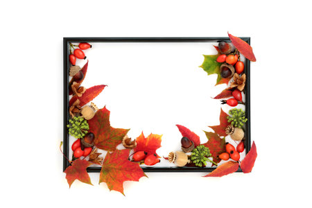 Autumn Fall and Thanksgiving harvest festival background nature border with nuts, berry fruit seed heads. On white background. Vivid design for card, label, gift tag.の写真素材