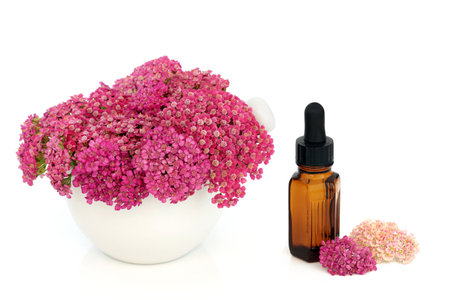 Achillea yarrow flower in a mortar. Alternative naturopathic herbal medicine with essential oil tincture bottle.  Treats hemorrhoids, wounds, bloating, flatulance. On white background.の写真素材