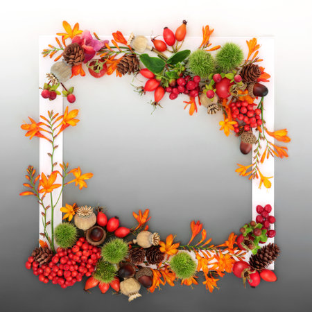 Autumn Thanksgiving Fall nature background border with leaves, flowers, berry fruit, nuts, white frame on gradient gray. Colorful festive floral design for label, greeting card, invitation.の写真素材