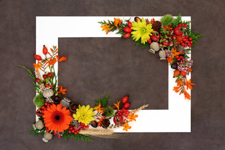 Floral Thanksgiving Autumn Fall nature background border nature concept with flowers, leaves, berry fruit, nuts, barley with white frame on brown lokta paper.の写真素材