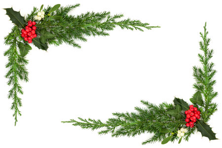 Winter flora Christmas background border with holly, mistletoe, ivy, juniper fi on white. Traditional design for greeting card, label, invitation, menu, gift tag.の写真素材