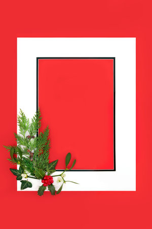 Winter Christmas traditional holly mistletoe ivy, fir background border on red, white frame. Merry Christmas Noel Yule greeting card, letter, gift tag, menu, invitation.の写真素材