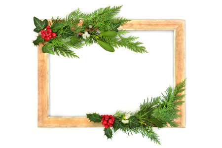 Christmas traditional holly berry, fir, mistletoe, ivy, winter greenery with rustic gold frame on white background. Festive nature decoration for card, menu, invitation, Yule, Noel.の写真素材