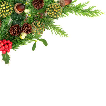 Christmas winter nature flora greenery border on white background. Traditional festive display for greeting card for the holiday season, Yule, Noel, New Year.の写真素材