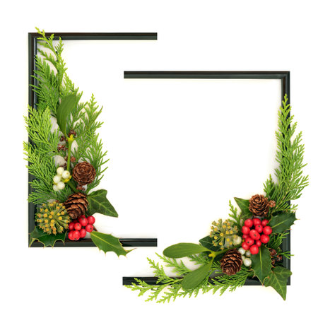 Abstract Christmas background frame traditional winter greenery, holly mistletoe ivy, on white. Happy holidays card, border, Noel, New Year holiday nature theme.の写真素材
