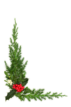 Christmas background border with holly, mistletoe, ivy, juniper fir winter flora on white background.  Traditional minimal design for greeting card, label, invitation, menu, gift tag.の写真素材
