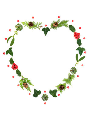Christmas heart shape wreath abstract with holly, berries, mistletoe and winter flora greenery. Romantic nature symbol for , greeting card, gift tag, invitation, menu on white.の写真素材