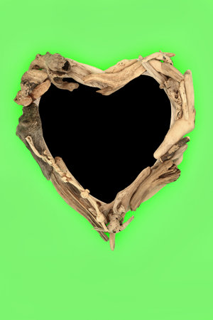 Driftwood heart shape wreath abstract on green background. Creative zen minimal natural wood nature composition.の写真素材