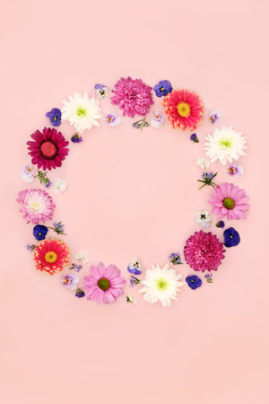 Spring flower wreath decoration on pink background. Chrysanthemum, gerbera, pansy, rosemary herb flowers. Natural springtime nature decorative art.の写真素材