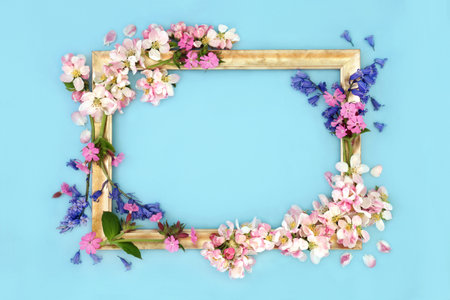 Spring Beltane flower decorative background frame with bluebell, red campion and apple blossom  flowers. Floral nature seasonal border design with gold frame on blue.の写真素材