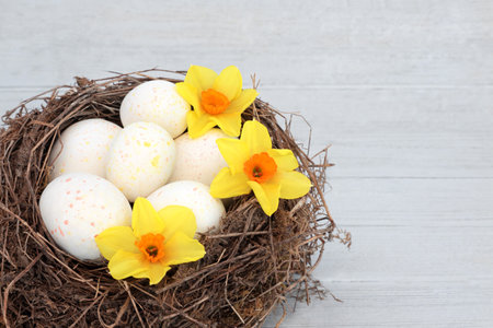 Easter nest with decorated eggs and yellow narcissus Spring flowers on rustic wood background. Happy Easter composition for the festive season.の写真素材