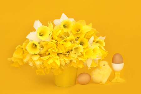 Symbols of Easter and Spring with daffodil flowers, baby toy chick and fresh eggs with cute egg cup on yellow background. Floral fresh food nature composition.の写真素材