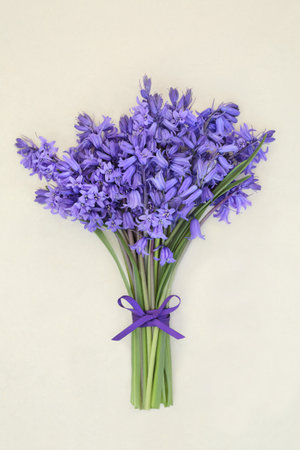 Bluebell flower bouquet for Spring on hemp paper background tied with purple ribbon bow and loose flowers. Floral gift present card for birthday, Mothers Day, Easter. Hyacinthoides.の写真素材