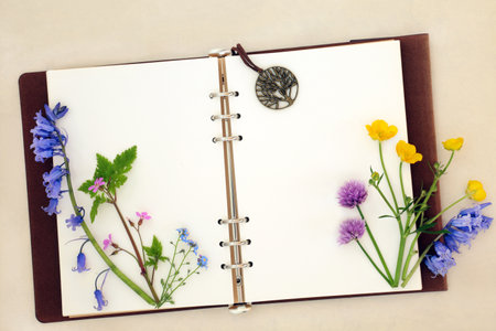 Spring wildflower nature study with old leather notebook, bluebell, buttercup, forget me not, herb robert and chive blossom flowers. English herbal medicine floral species composition. On hemp paper background.の写真素材