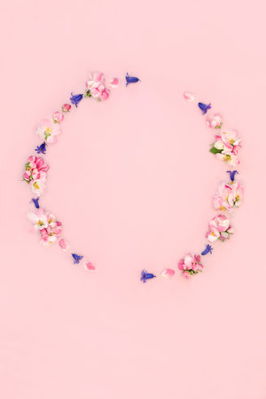 Spring flower wreath with apple blossom and bluebell flowers. Minimal abstract design for Beltane, Easter, Mothers Day, birthday for card, logo, gift tag or invitation on pink.の写真素材