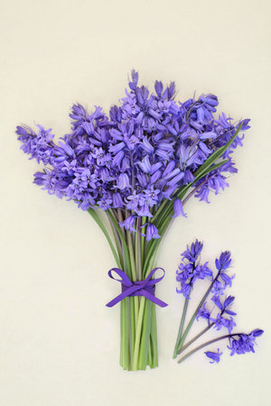 Bluebell flower bouquet for Spring on hemp paper background tied with purple ribbon bow and loose flowers. Floral gift present card for birthday, Mothers Day, Easter. Hyacinthoides.の写真素材