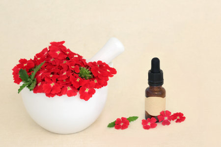 Red verbena herb flowers with essential oil bottle. Used herbal medicine as a sedative, treats insomnia, depression, arthritis, female problems, heart conditions. On hemp paper. Peruviana.の写真素材