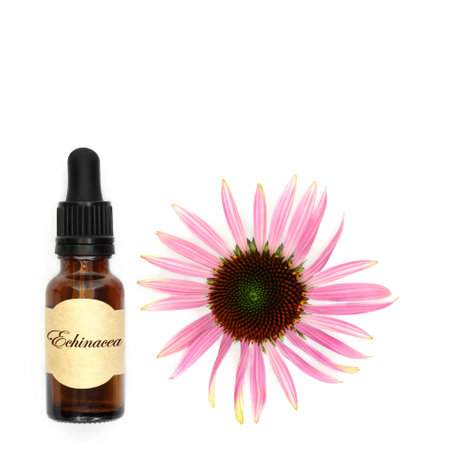 Natural echinacea alternative herbal medicine tincture bottle. Used to treat coughs colds and bronchitis with flower head on white background.の写真素材