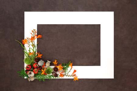 Autumn Fall Thanksgiving concept festive nature background frame with flowers, berry fruit, nuts...