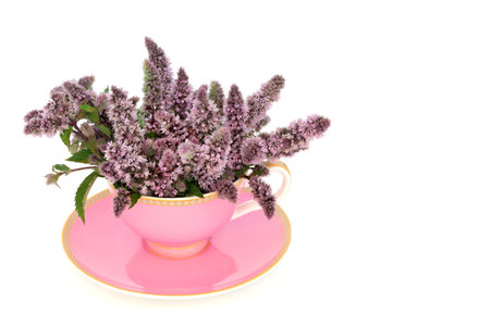Peppermint flower leaf tea in pink teacup on white background with copy space. Relieves indigestion, IBS, is stress and anxiety relieving, helps insomnia. Surreal fun composition. Copy space.の写真素材