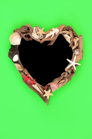 Seashell driftwood heart shape wreath abstract design on green background with chalkboard. Creative natural wood nature sea life composition.の写真素材