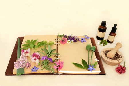 Preparing aromatherapy essential oil with flowers, herbs, wildflowers used in natural herbal medicine remedies with tincture bottles, recipe notebook on hemp paper background.の写真素材