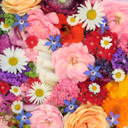 Summer flowers and herbs for natural herbal medicine. Edible food decoration also used in alternative medicinal remedies. Floral nature composition.の写真素材