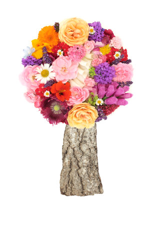 Surreal summer flower tree for natural nature edible food art. Logo and greeting card design. On white background.の写真素材