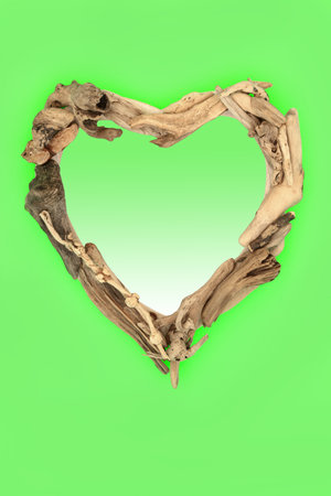 Driftwood heart shape wreath abstract design on green background with gradient inset. Creative zen minimal natural wood nature compositon.の写真素材