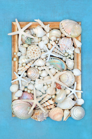 Seashell and pearl decorative abstract background with gold grunge picture frame on mottled blue background. Natural nature design with large collection of shells.の写真素材