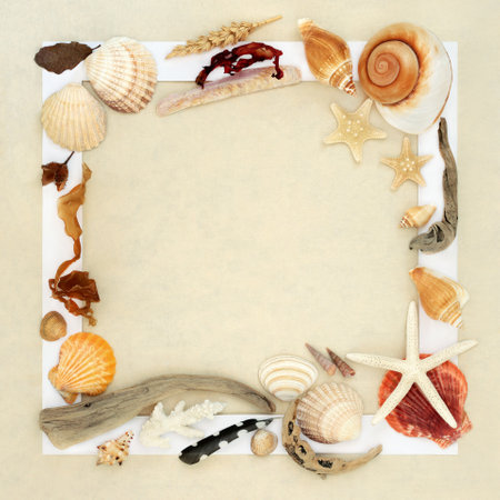 Seashells flora driftwood and feather abstract natural background frame in white on hemp paper background. Neutral collage border design.の写真素材