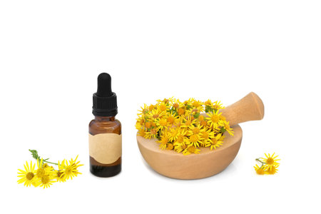 Ragwort flowers in a mortar on white with essential oil bottle. Herbal medicine to treat colic, gout, rheumatism, painful periods, menopause symptoms, poisonous to livestock.の写真素材