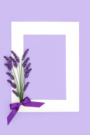 Lavender flower herb abstract floral background frame. Used in natural alternative herbal medicine and aromatherapy. Healthy adaptogen food  decoration nature design on lilac.の写真素材