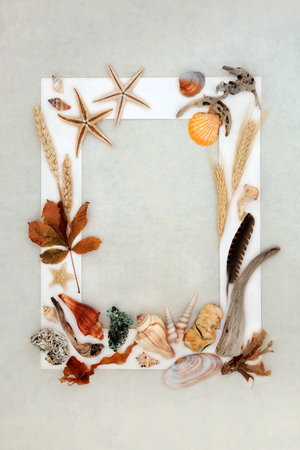 Natural nature objects beautiful assortment with feathers, driftwood, sea shells, rocks, flora and grain. Detail study on hemp paper background with white frame.の写真素材