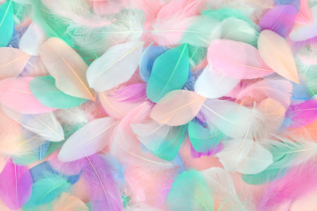 Feather beauty abstract colorful background. Soft beautiful textured designの写真素材