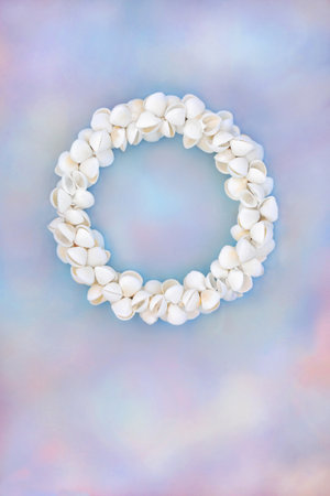 Cockleshell seashell wreath on rainbow sky cloud background. Symbol of summer nature sea life. Greetings card for birthday, mothers day or anniversary.の写真素材