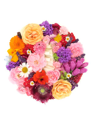Summer flowers for natural herbal medicine. Natural  edible food also used in alternative medicinal remedies. Circular design on white background. Logo and greeting card design.の写真素材