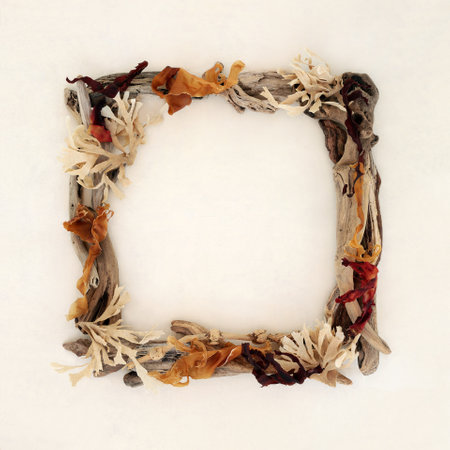 Seaweed and driftwood wreath frame on hemp paper background. Natural abstract square shape wood sculpture nature composition.の写真素材