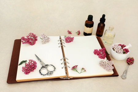 Achillea yarrow herb flower preparation for alternative herbal medicine with notebook, tincture and oil bottles. Treats haemorrhoids, wounds, bloating, flatulence. On hemp paper.の写真素材