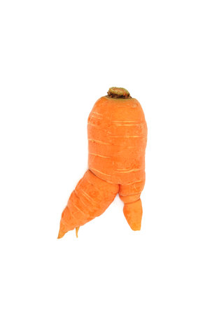 Forked twisted carrot root vegetable on white. Deformed produce caused by rocky soil conditions, uneven watering conditions, pests  or pythium fungus.の写真素材