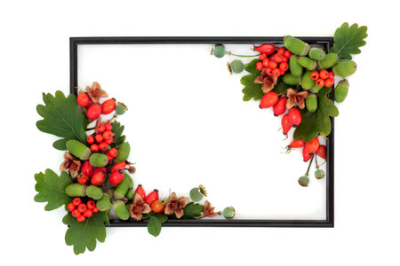 Autumn Fall berry fruit nuts, seeds and oak leaf background border. Vivid abstract red green...