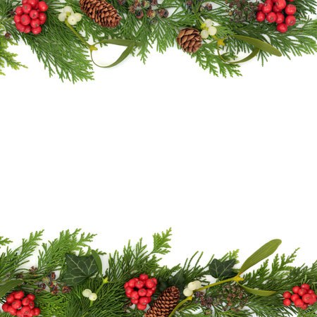 Winter Christmas holly, mistletoe, ivy, fir, pinceone flora background frame border on white. Natural nature foliage design for invitation, gift tag, label. Copy space.の写真素材