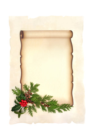 Christmas flora on paper scroll for invitation or letter to santa on parchment on white background. Festive winter greenery with holly and mistletoe berries for Yule, Xmas, Noel.の写真素材