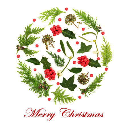 Merry Christmas winter solstice greenery abstract flora nature circle shape, holly berries, mistletoe, ivy, cedar, juniper fir on white. Natural pagan wicca druid symbol with text.の写真素材