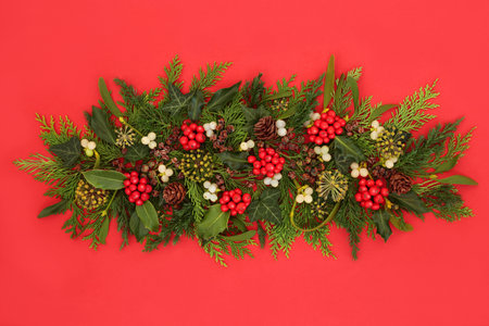 Holly berry traditional winter greenery design on red background. Natural nature flora, mistletoe, ivy, fir, pine cones for the festive season. Wicca, druid, pagan symbols.の写真素材